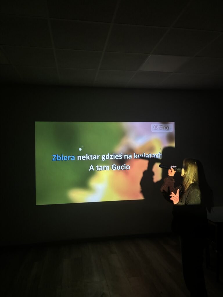 Wypożyczalnia sprzętu karaoke